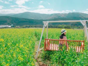 Investing in Experiences over Possessions